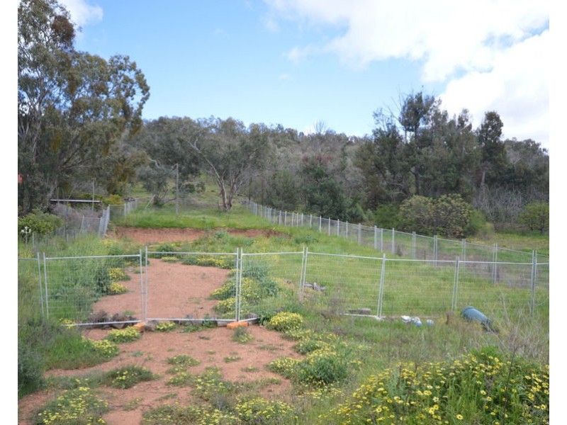 46 Oxley Avenue, Mount Arthur NSW 2820