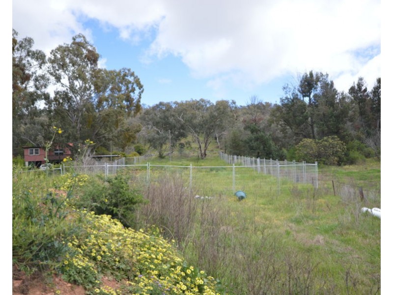 46 Oxley Avenue, Mount Arthur NSW 2820