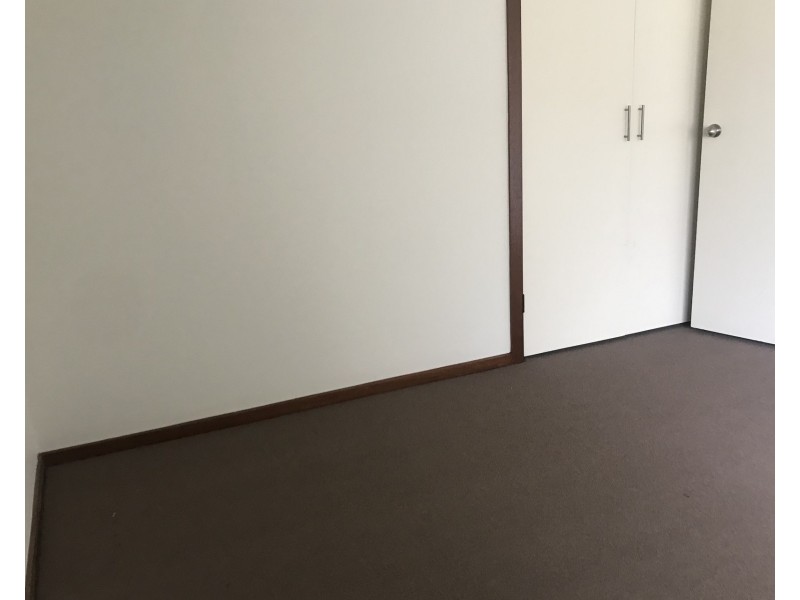 1/2 Wright Street, Clayton VIC 3168