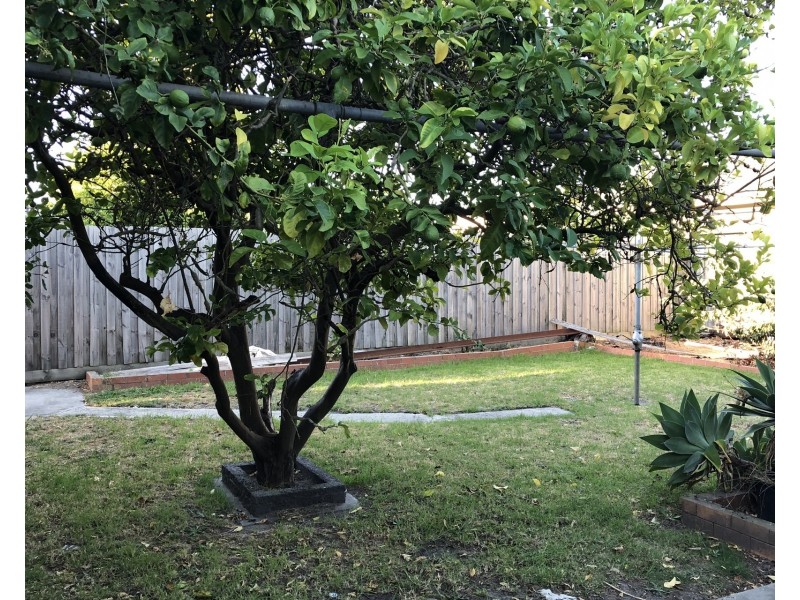 2 Glencannon Close, Clayton South VIC 3169