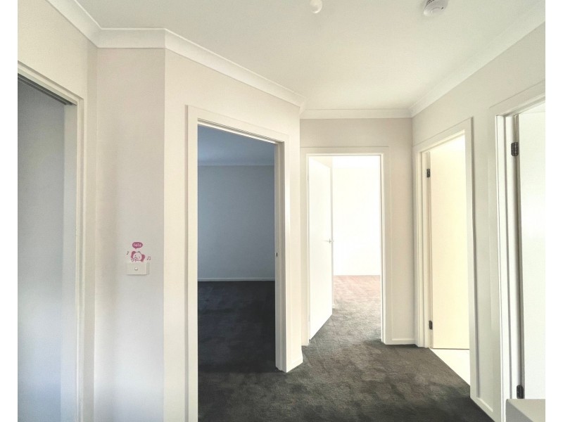 3/98 Kanooka Grove, Clayton VIC 3168