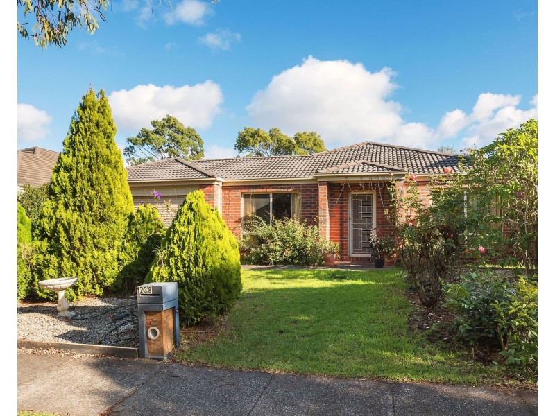 238 Normanby Road, Notting Hill VIC 3168