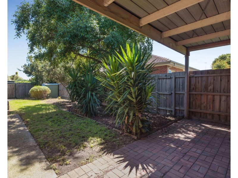 3/18 View Street, Clayton VIC 3168