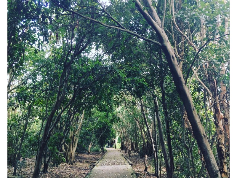 21 Sea Eagle Court, Casuarina NSW 2487