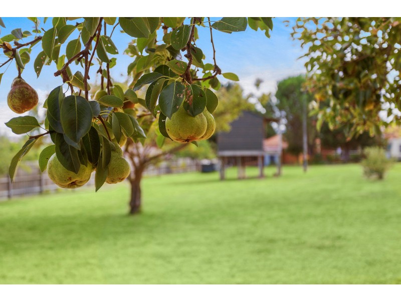 7 Mackellar Close, Narre Warren North VIC 3804