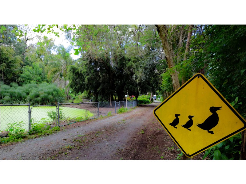 Park Ridge QLD 4125