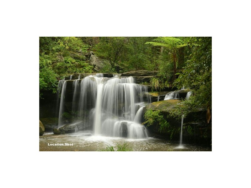 25 Ferndale Avenue, Carlingford NSW 2118