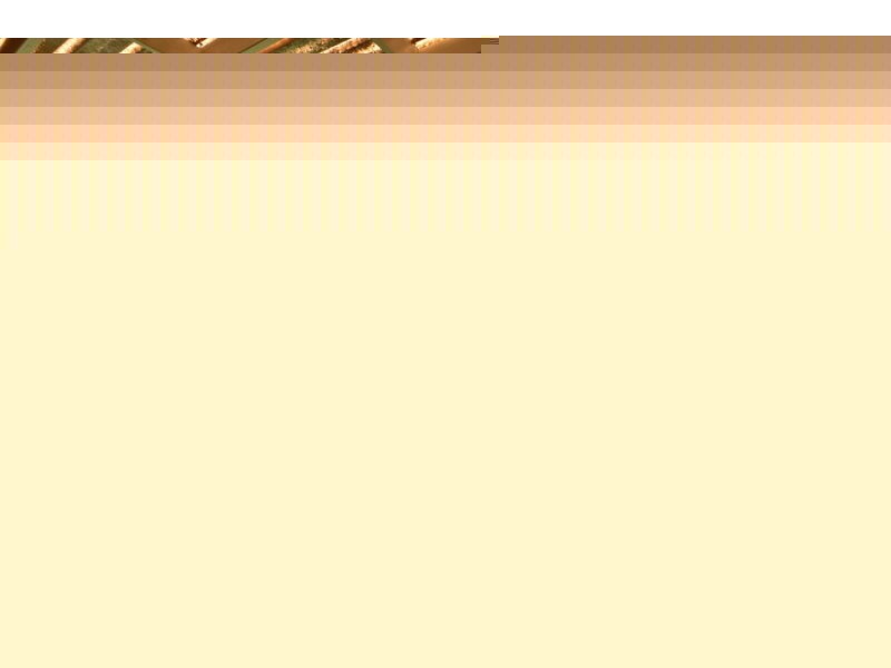 6 Yellowjack Crescent, Albany Creek QLD 4035