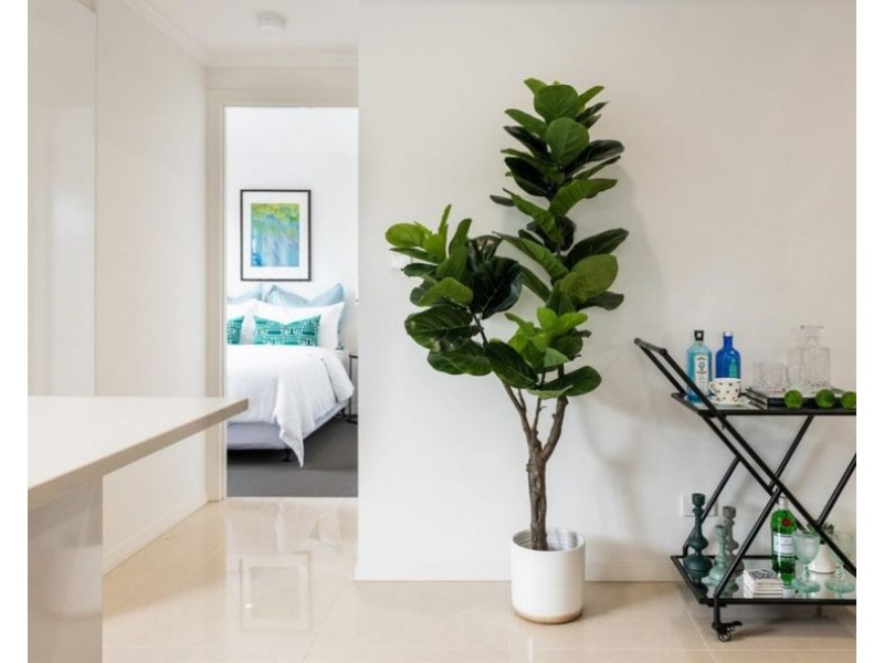 8/11 Collins Street, Nundah QLD 4012