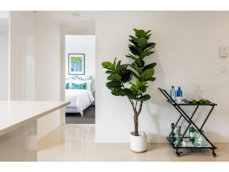 8/11 Collins Street, Nundah QLD 4012