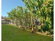155 Barbour Road, Bracken Ridge QLD 4017