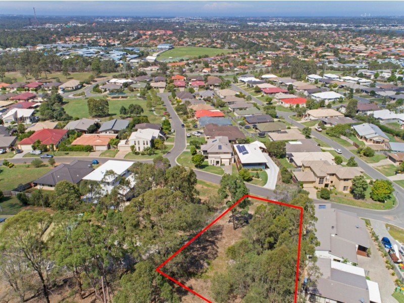 63 Bluetail Crescent, Upper Coomera QLD 4209