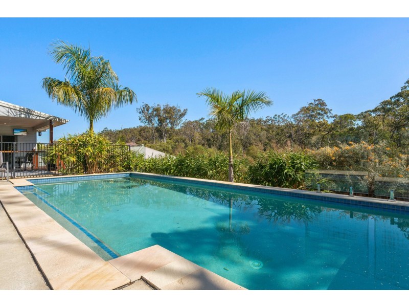 17 Willie Wagtail Crescent, Upper Coomera QLD 4209