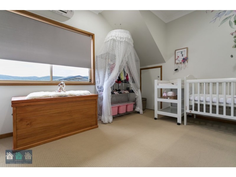 112 Halls Road, Luscombe QLD 4207