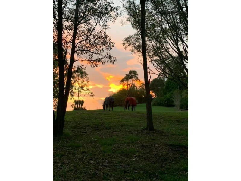 197 Shaws Pocket Road, Luscombe QLD 4207