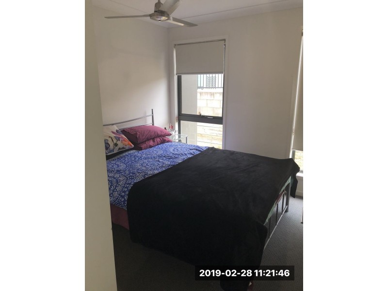 71 MacIntyre Parade, Pacific Pines QLD 4211