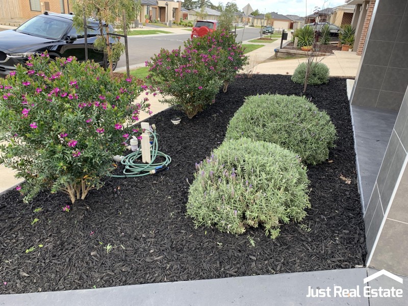 20 Wonder Street, Officer VIC 3809