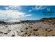 Dingo Beach QLD 4800