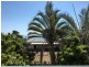 5, 1a Pleasant Drive,, Cannonvale QLD 4802
