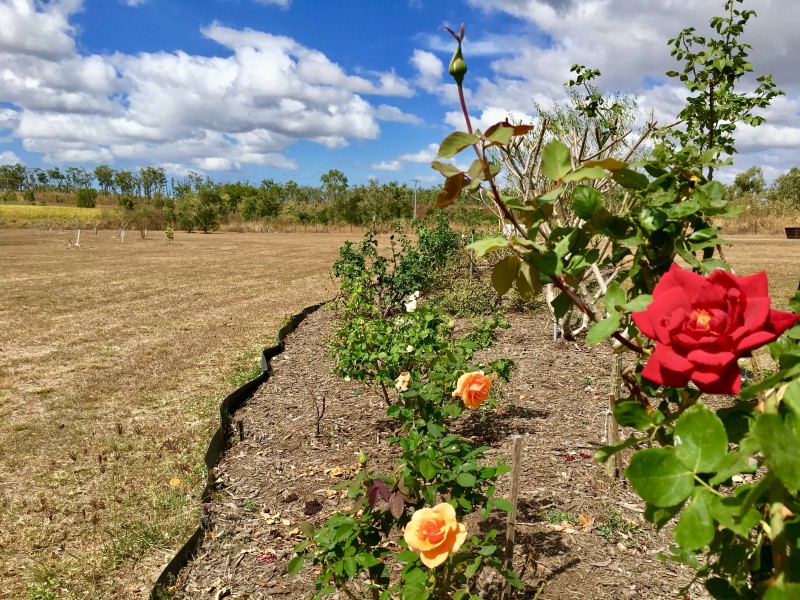 Kelsey Creek QLD 4800
