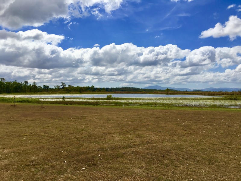 Kelsey Creek QLD 4800