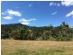 1195 Calen Mount Charlton Road, Mount Charlton QLD 4741