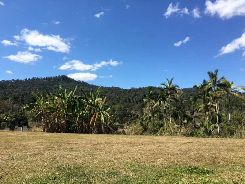 1195 Calen Mount Charlton Road, Mount Charlton QLD 4741