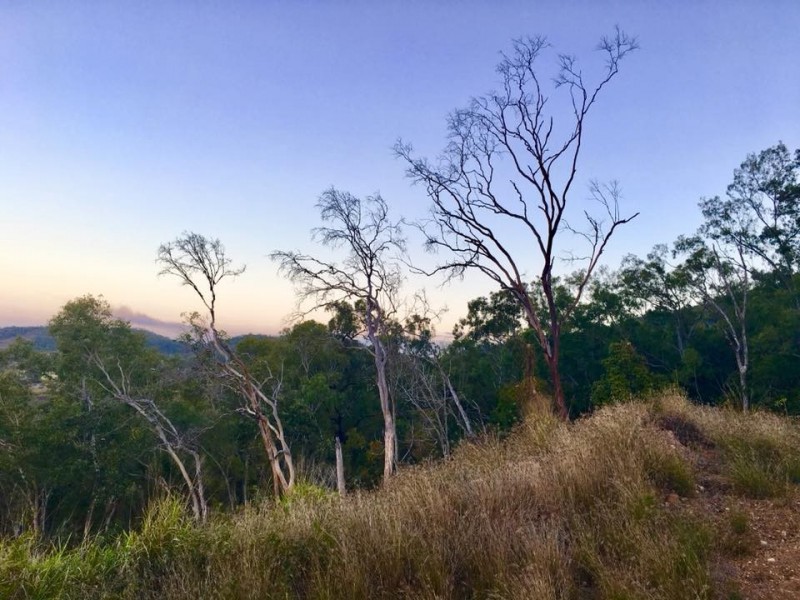 Mount Jukes QLD 4740