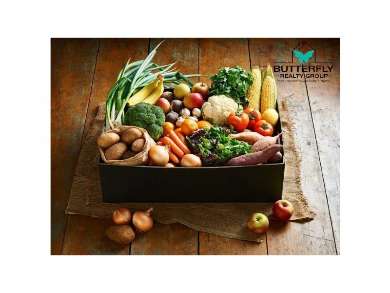 Mount Julian QLD 4800