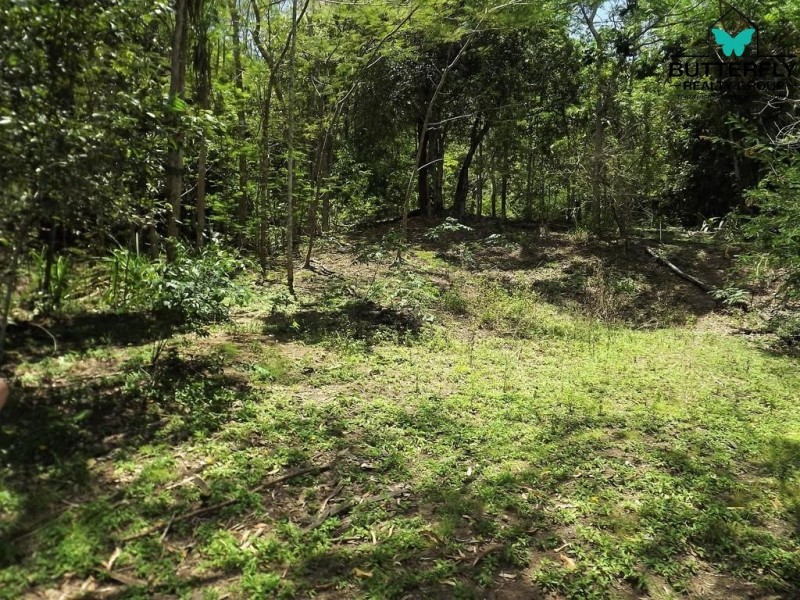 Mount Julian QLD 4800