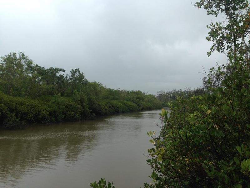 Lot 12  Lindeman Drive, Bloomsbury QLD 4799