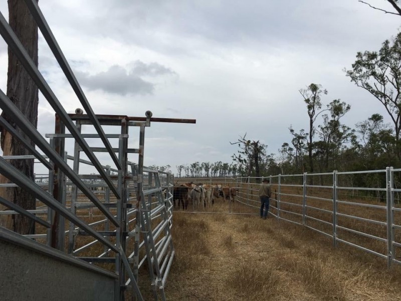 Lot 12  Lindeman Drive, Bloomsbury QLD 4799