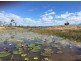 Lot 12  Lindeman Drive, Bloomsbury QLD 4799