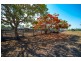 452 Geeberga Buthurra Road, Kuttabul QLD 4741