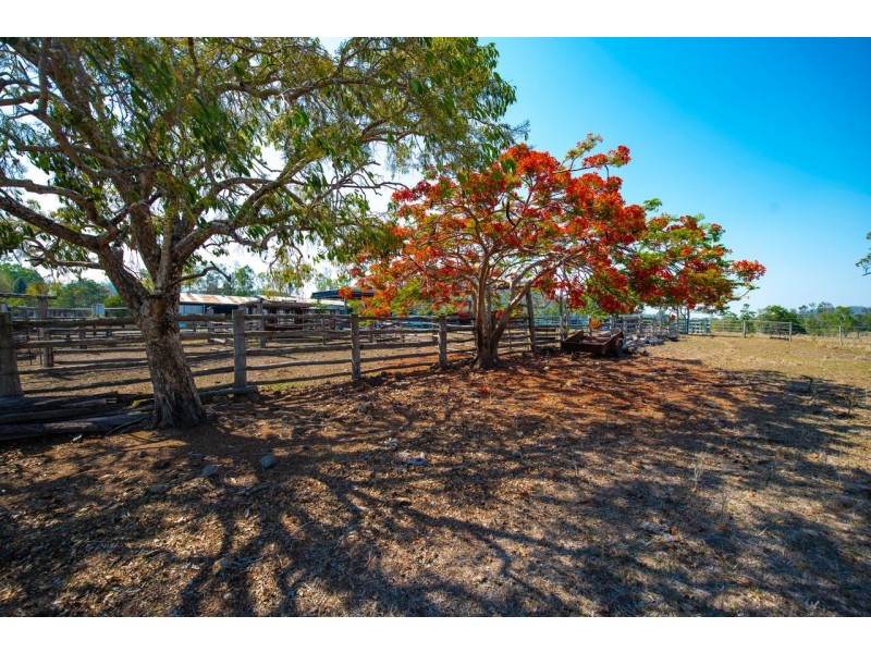 452 Geeberga Buthurra Road, Kuttabul QLD 4741