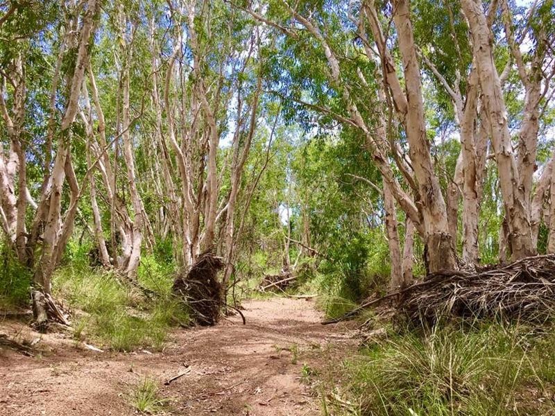 Gregory River QLD 4660