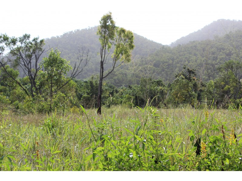 Preston QLD 4800