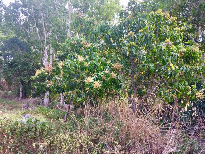 41 Kuttabul Mount Jukes Road, Kuttabul QLD 4741