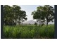 Septimus QLD 4754