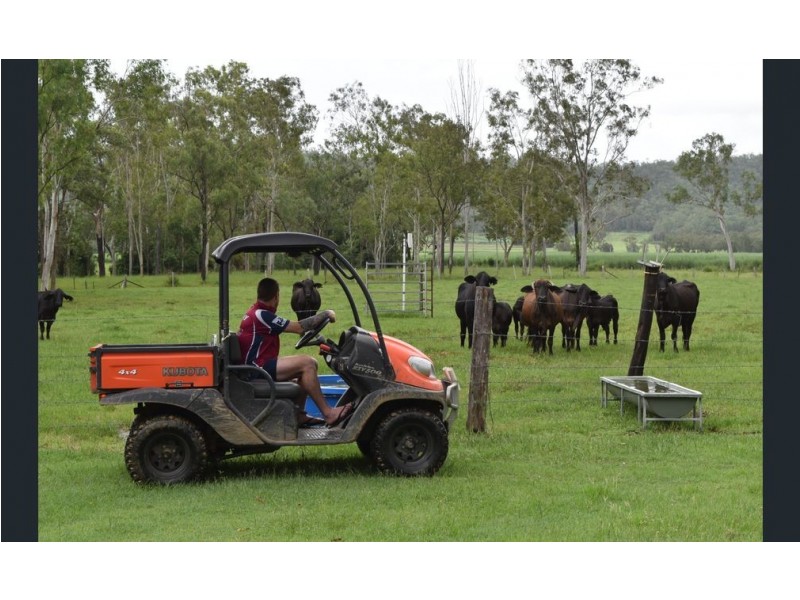 Septimus QLD 4754
