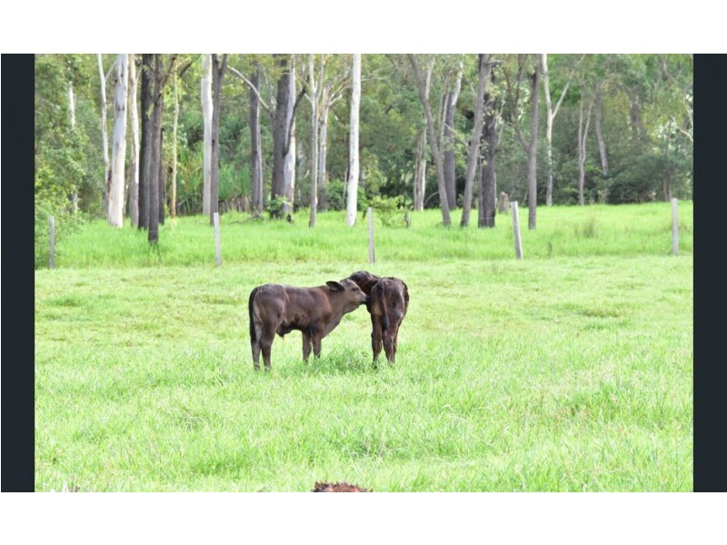 Septimus QLD 4754