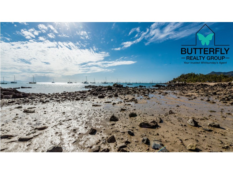 Dingo Beach QLD 4800