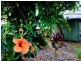 1 Griffin Avenue, Bucasia QLD 4750
