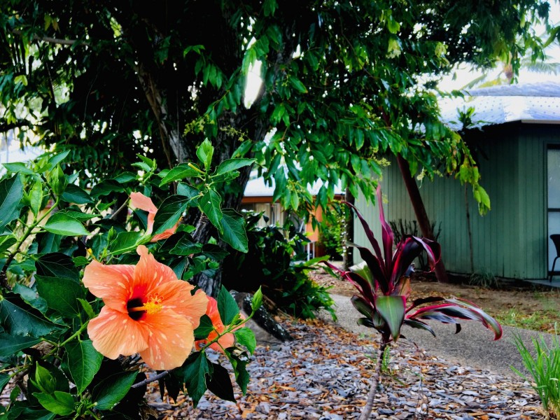 1 Griffin Avenue, Bucasia QLD 4750
