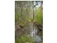 Curra QLD 4570