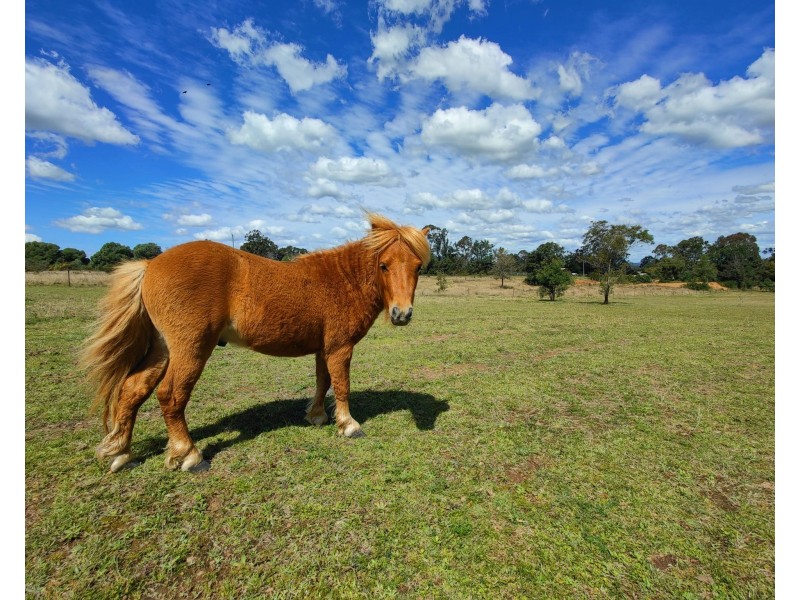 282 Smith Road, Booie QLD 4610