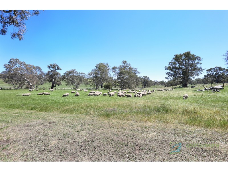 69 Moore Road, Woodside SA 5244