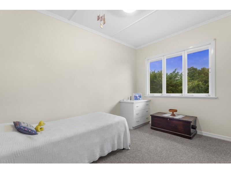 31 Citrus Street, Moorooka QLD 4105