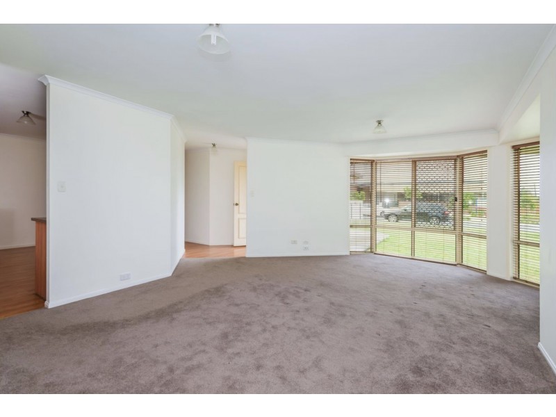 28 Bent Street, Cannon Hill QLD 4170