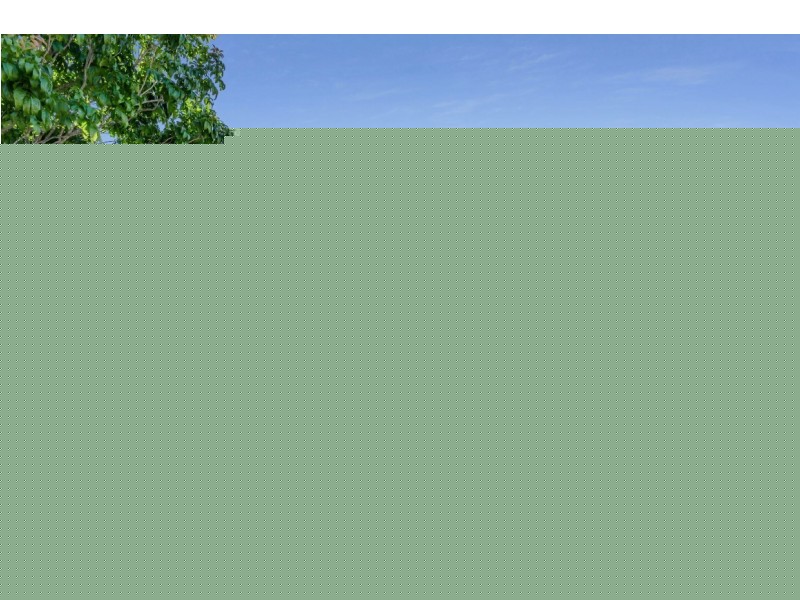 72 Lutzow Street, Tarragindi QLD 4121